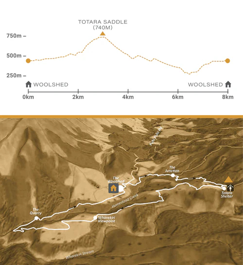 puhi-peaks-Valley-of-Feathers-elevation-trail